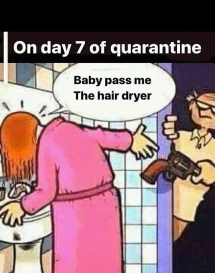 Hand me the dryer.PNG