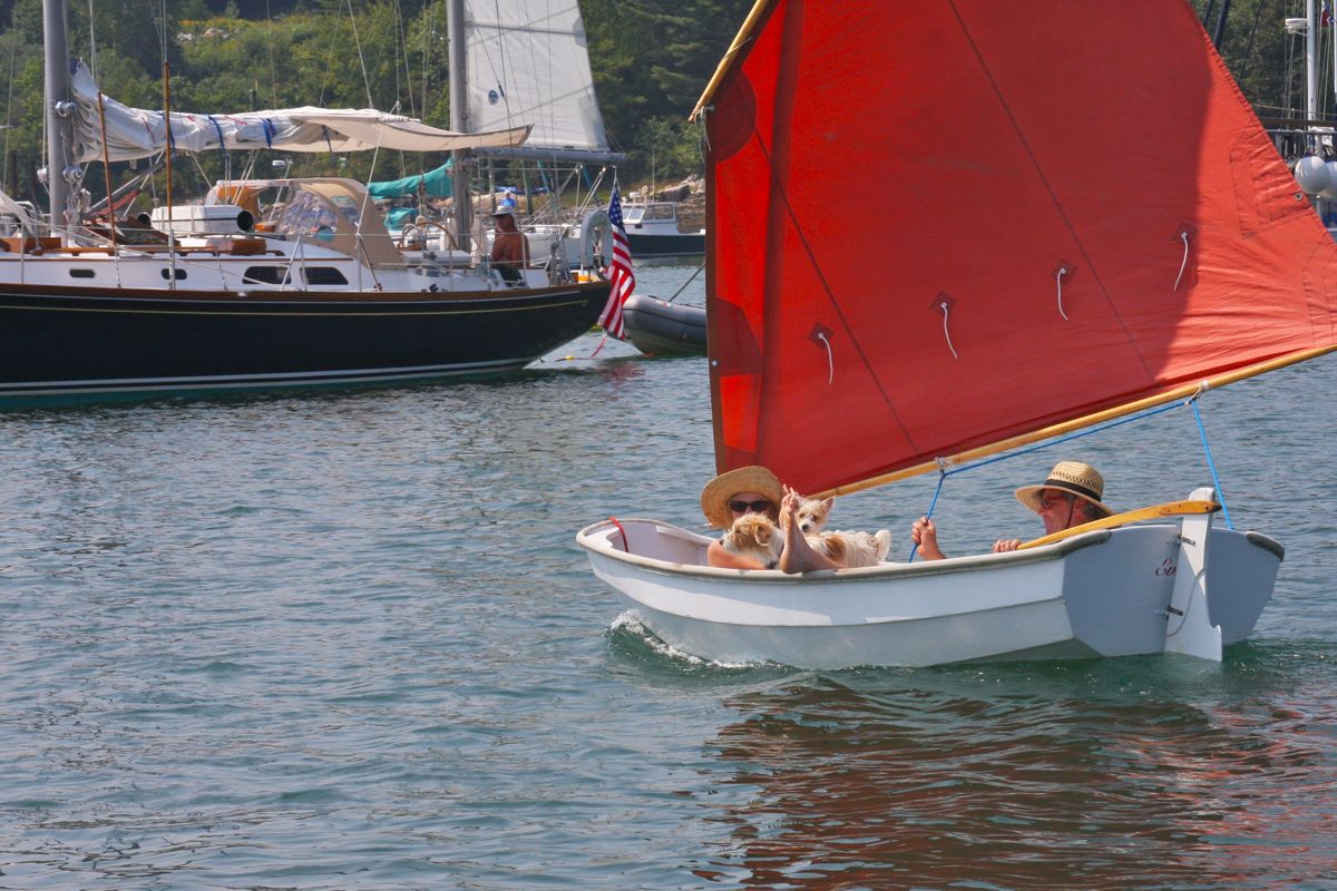 Harbor sailing.jpg