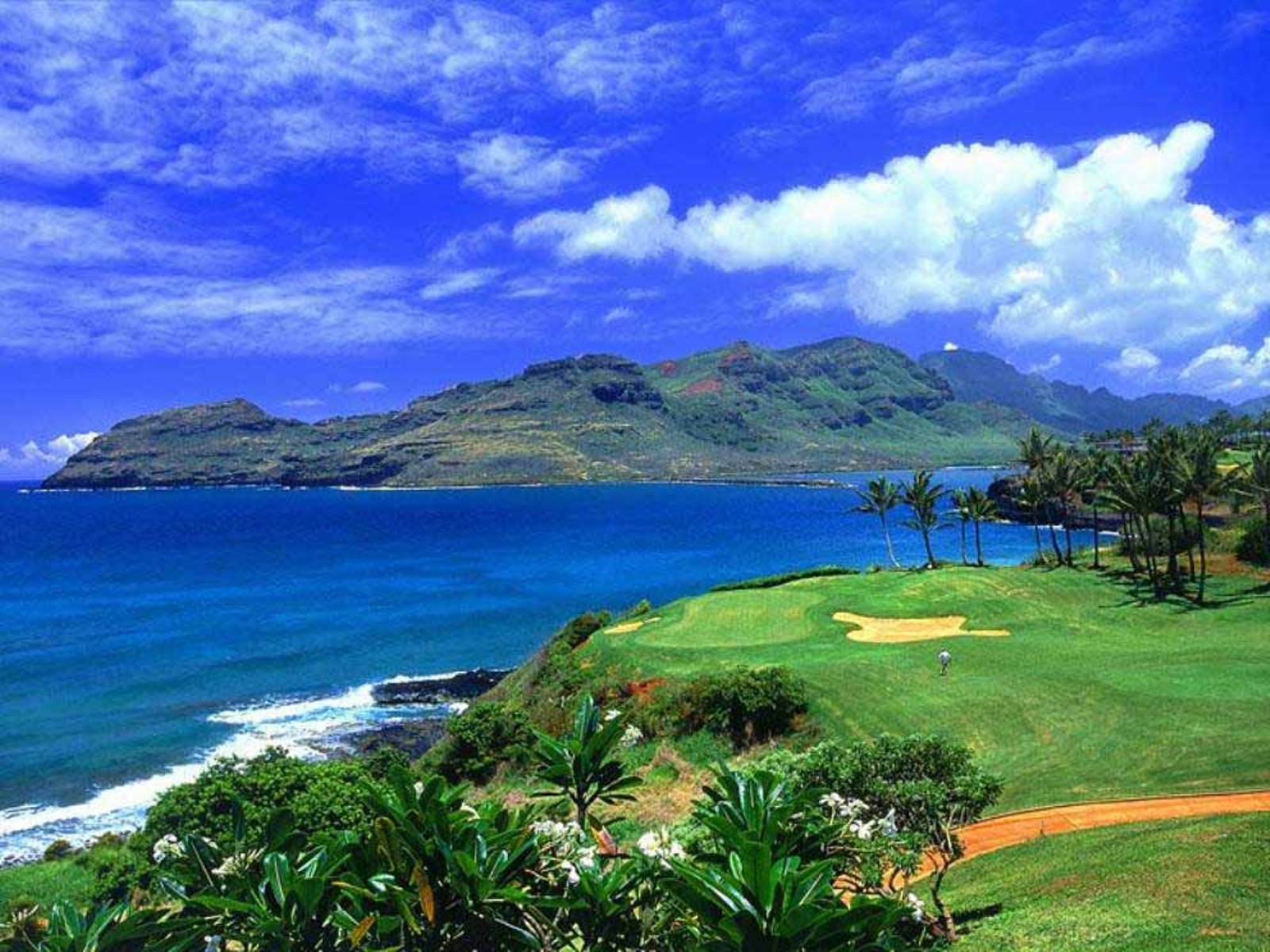 Hawaii Vacations.jpg
