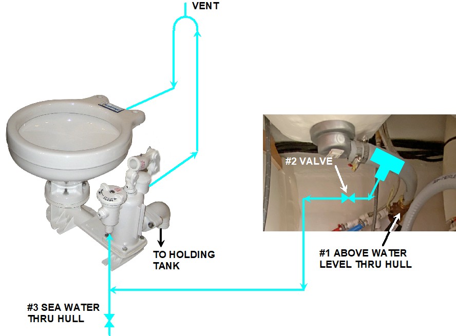 Head Flushing.jpg