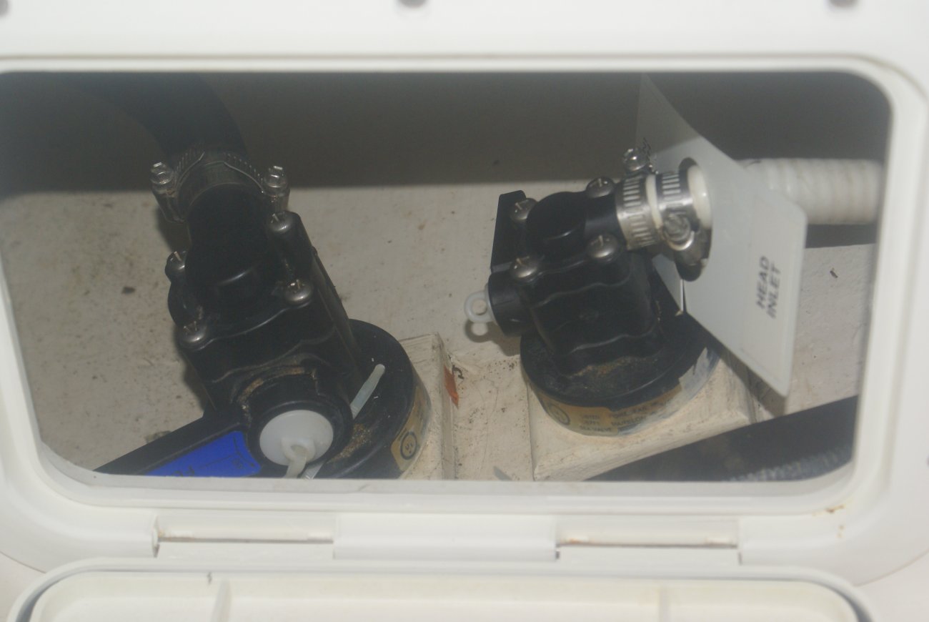 Head Valves.JPG