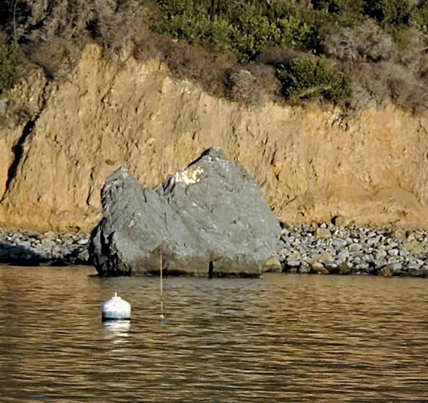 HenRock.jpg