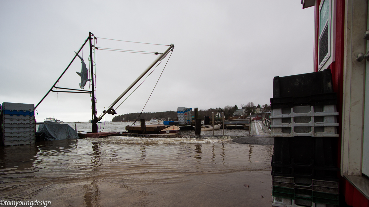 High tide 1.jpg