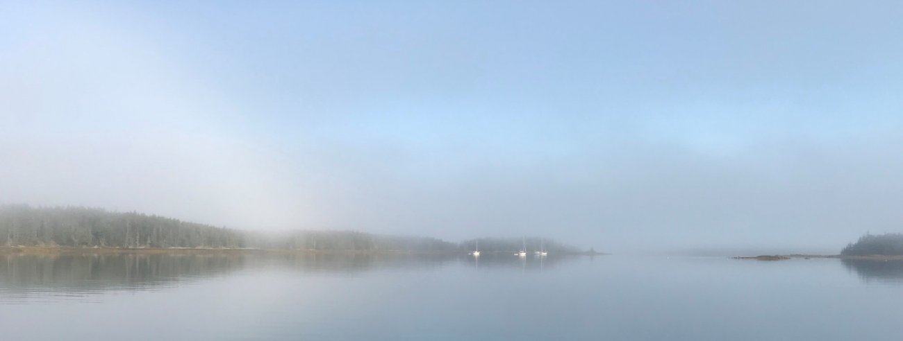 Holbrook fog.jpg