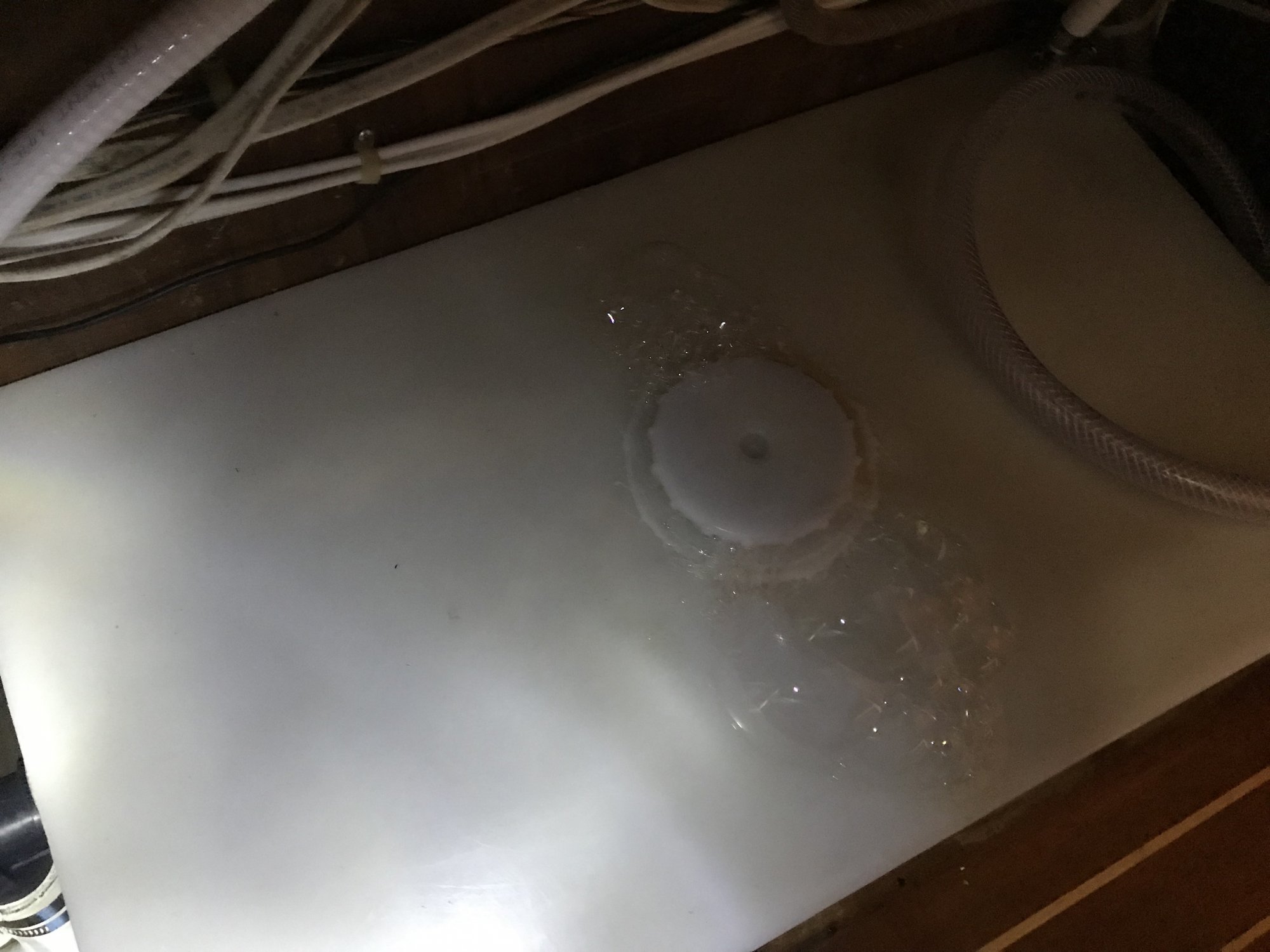 holding_tank_bubbles.jpg