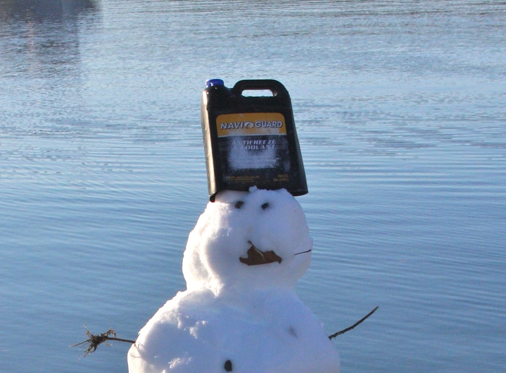 Holland snowman.jpg