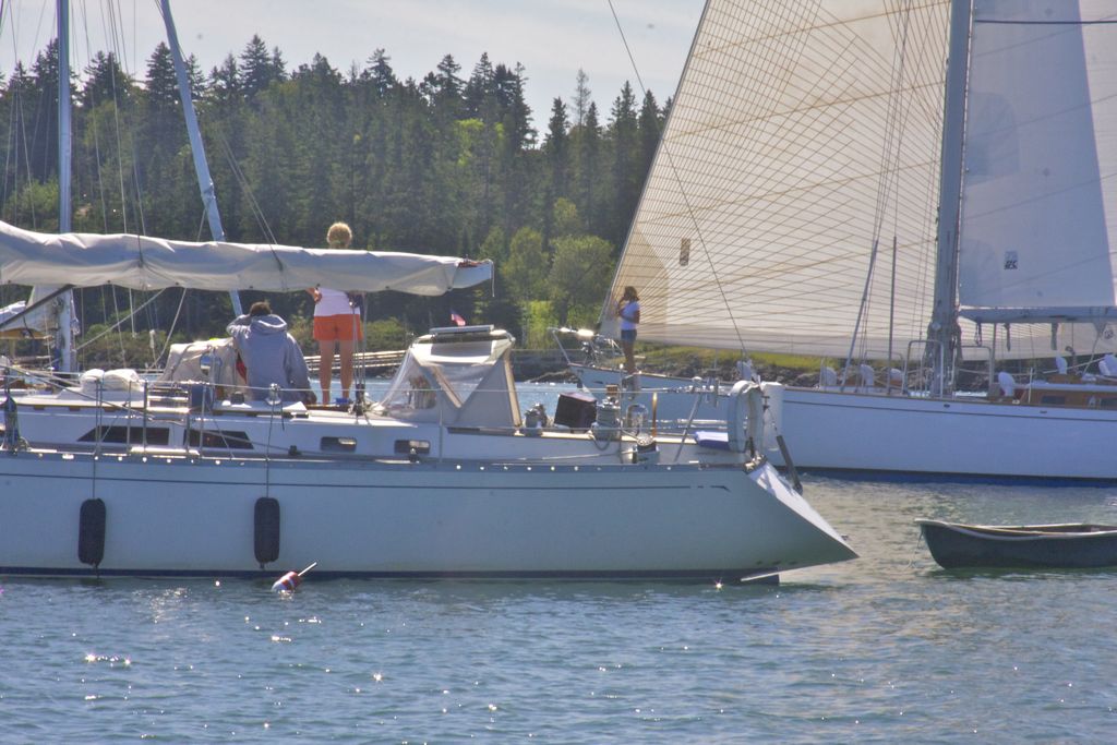 HOUND thoroughfare.jpg