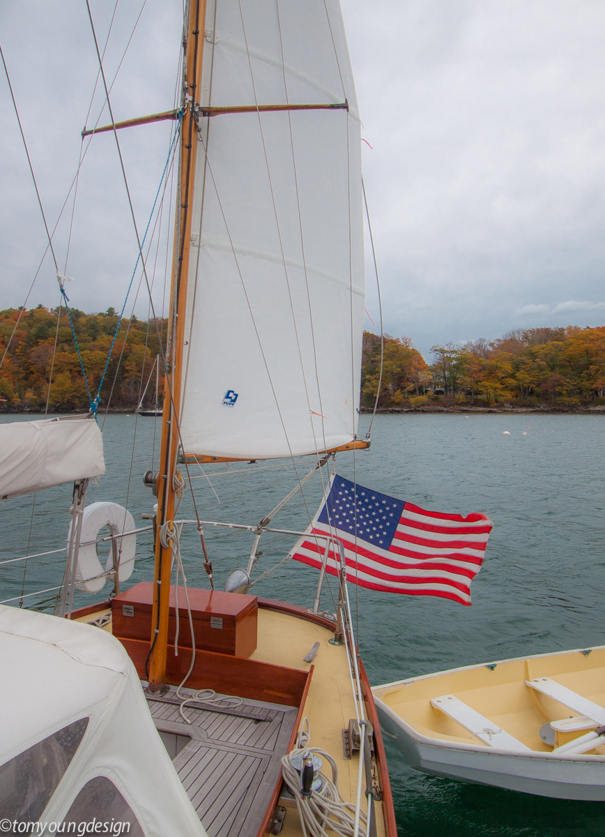 hove to 15kts.jpg