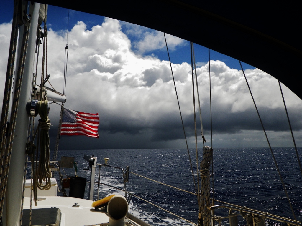 Hunted American Flag (1024x768).jpg
