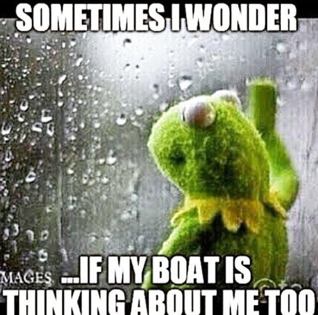 I wonder.JPG