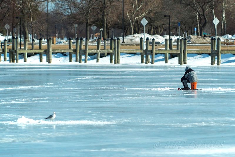 IceFisher_7041S.jpg