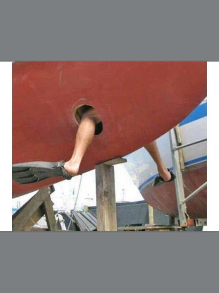 image.jpeg