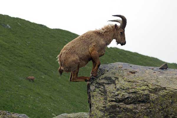 image010.jpg