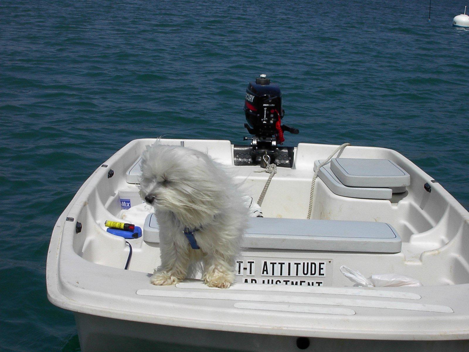 Image07.jpg