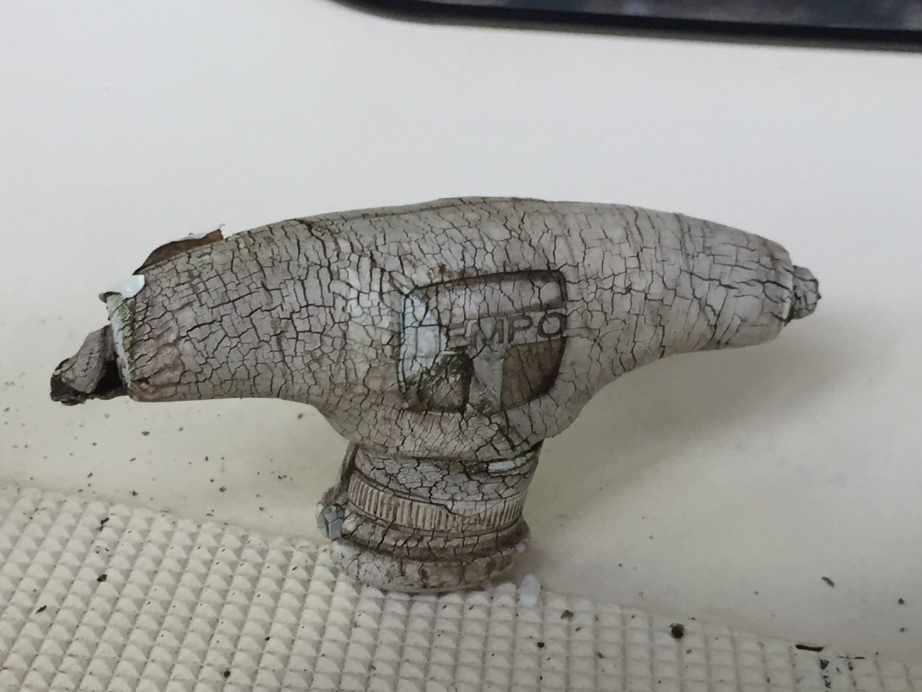 image1.jpeg