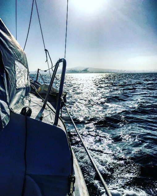image1.JPG