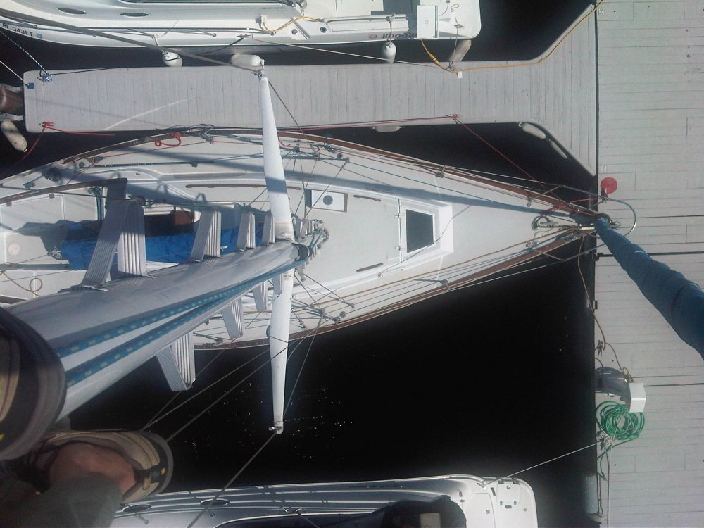 IMG00105-20110605-1516.jpg