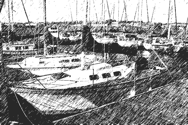 IMG_0024artist.jpg