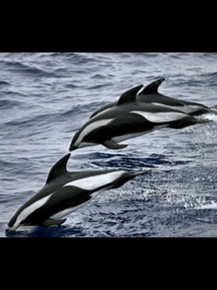 IMG_0026.PNG