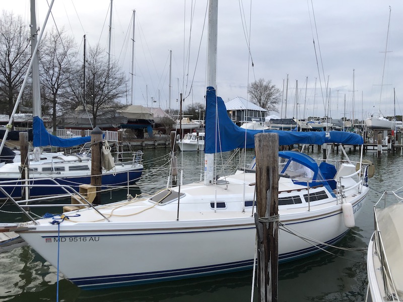 IMG_0414.jpeg