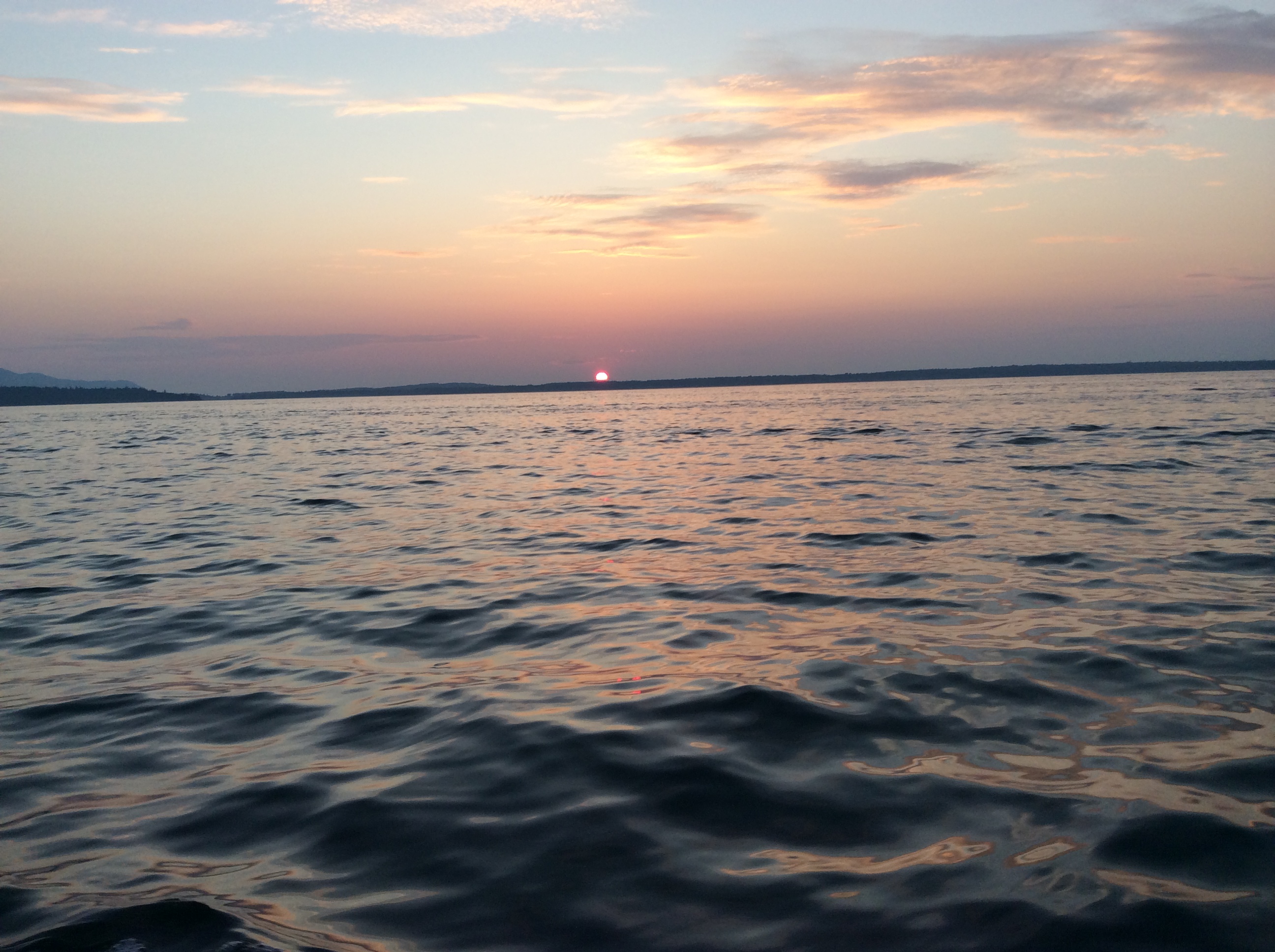 IMG_0445.JPG