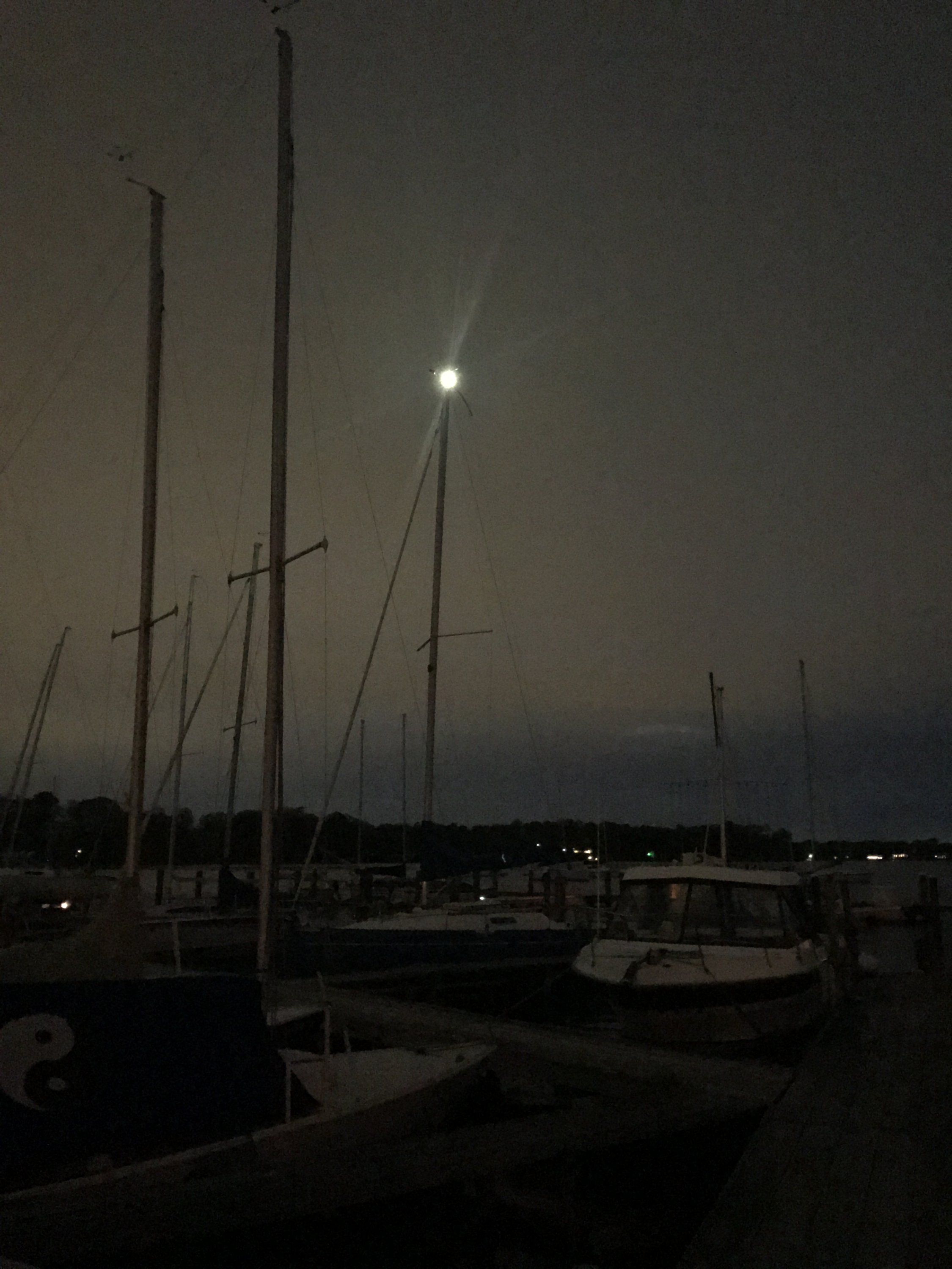 IMG_0803.JPG