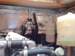 IMG_1031.jpeg
