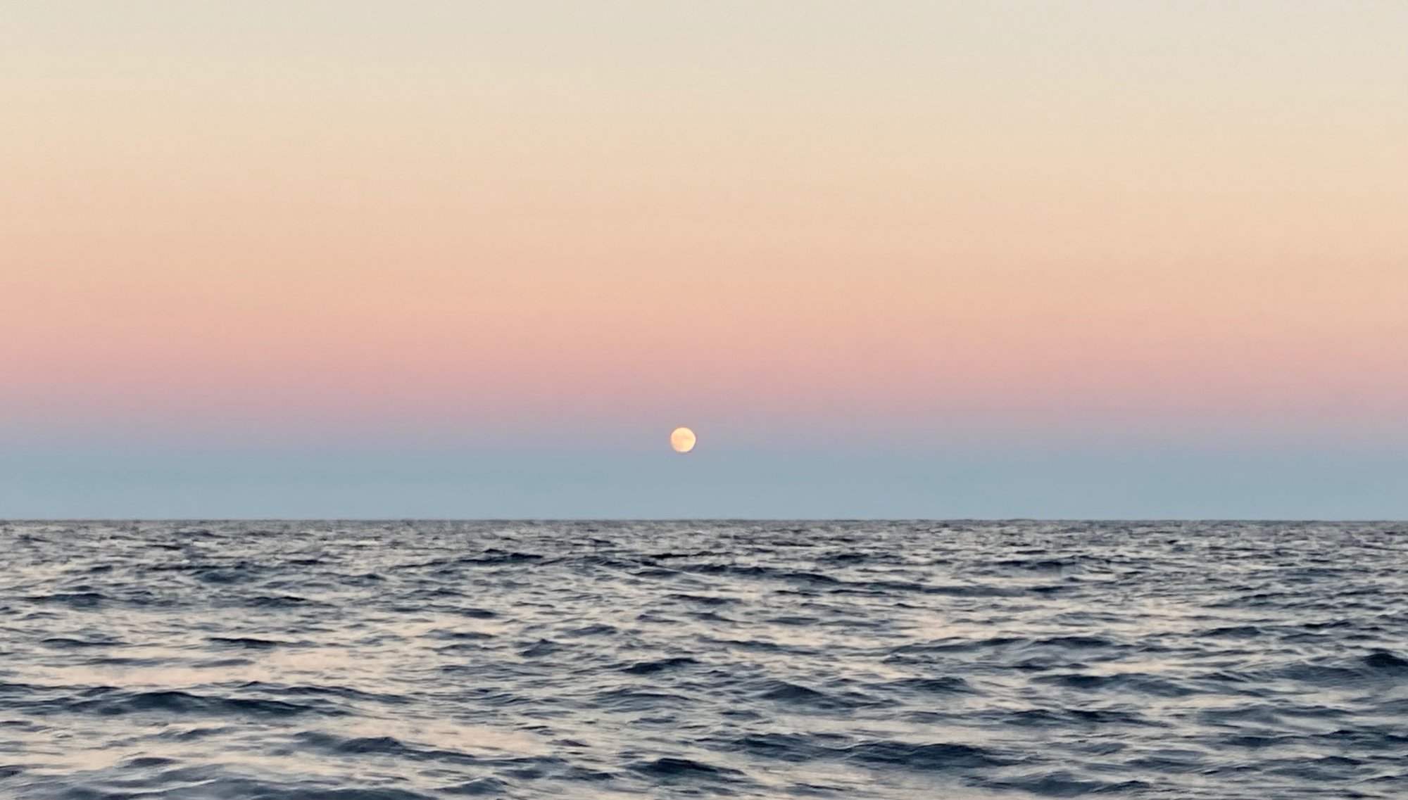 IMG_1065.jpeg