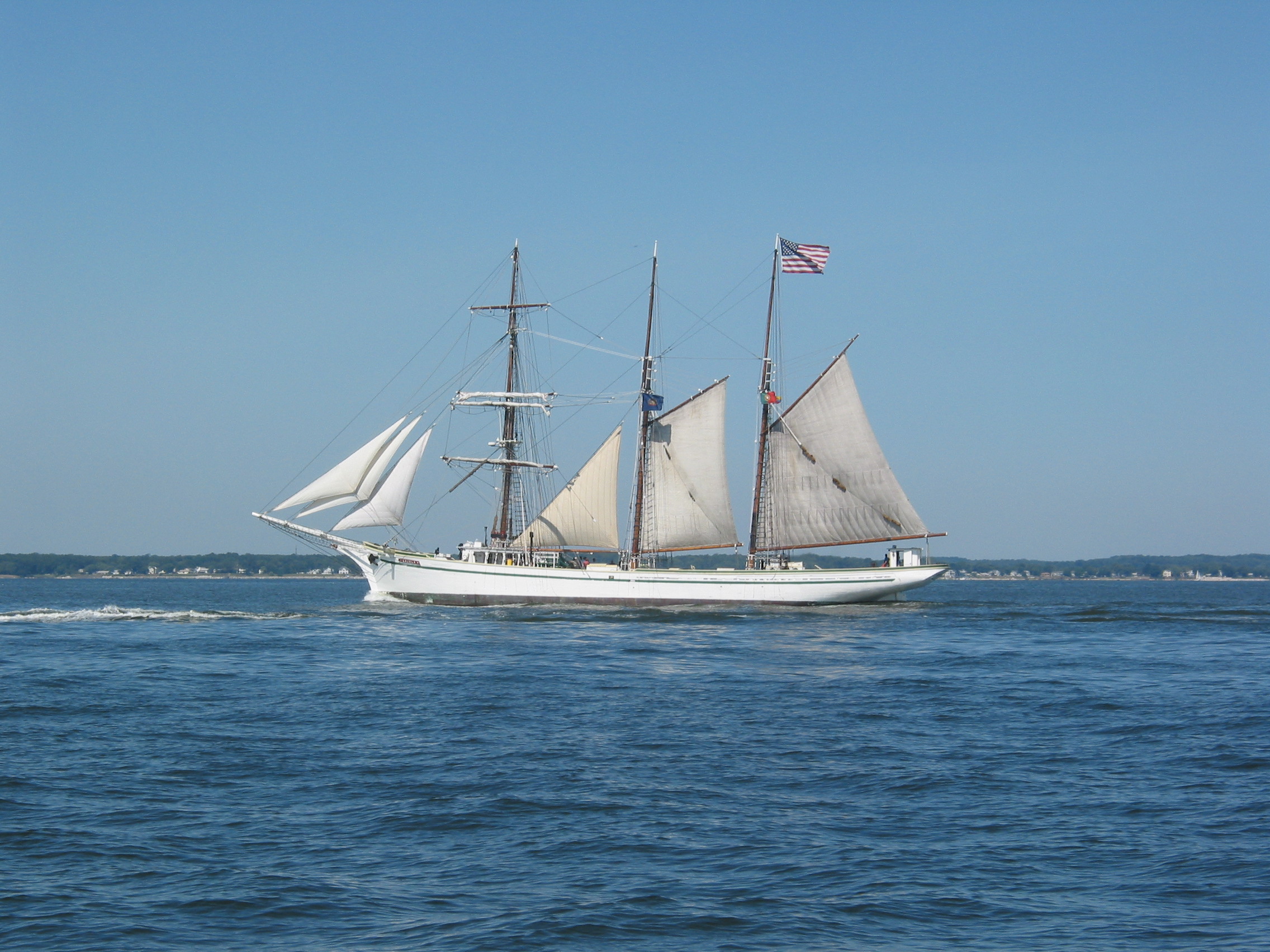 IMG_1085.JPG