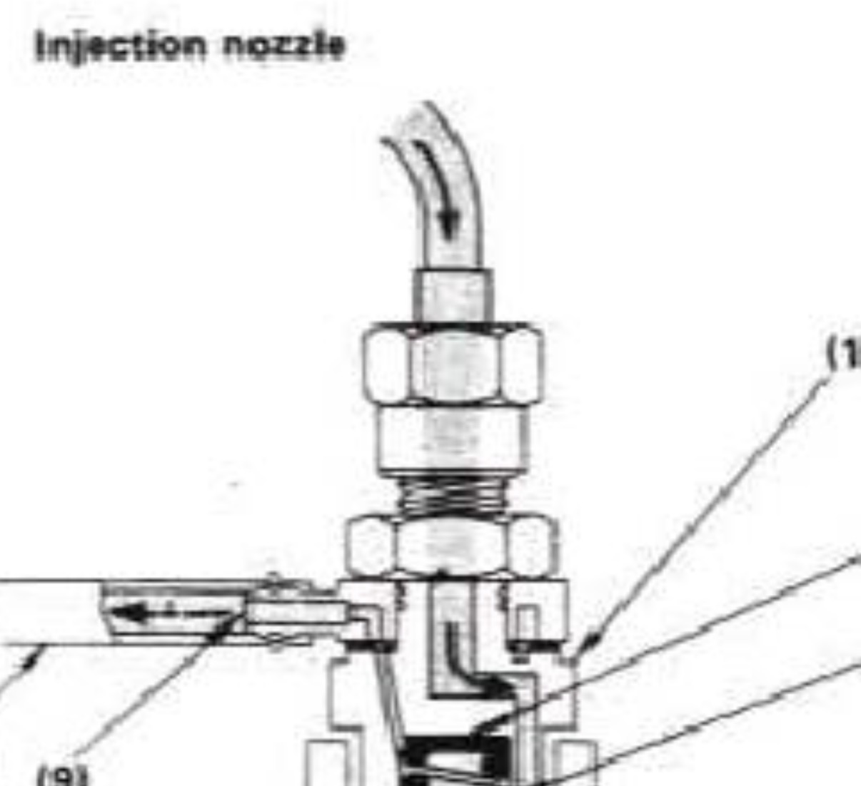 IMG_1269.jpeg