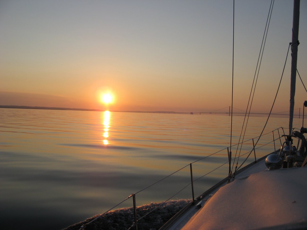 IMG_1529.jpg