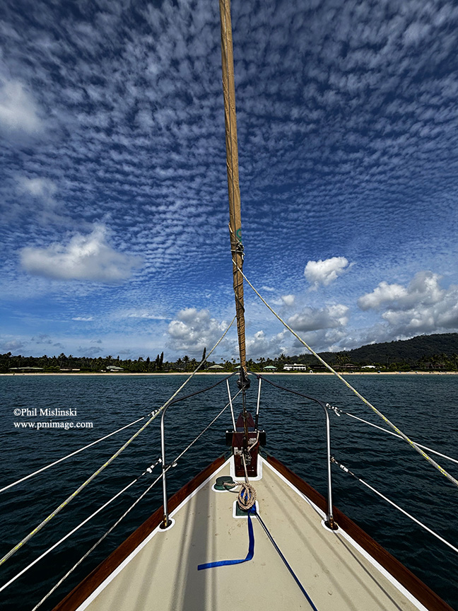 IMG_1587 cr.jpg