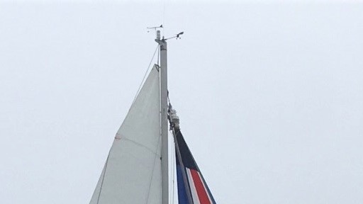 IMG_1871.JPG