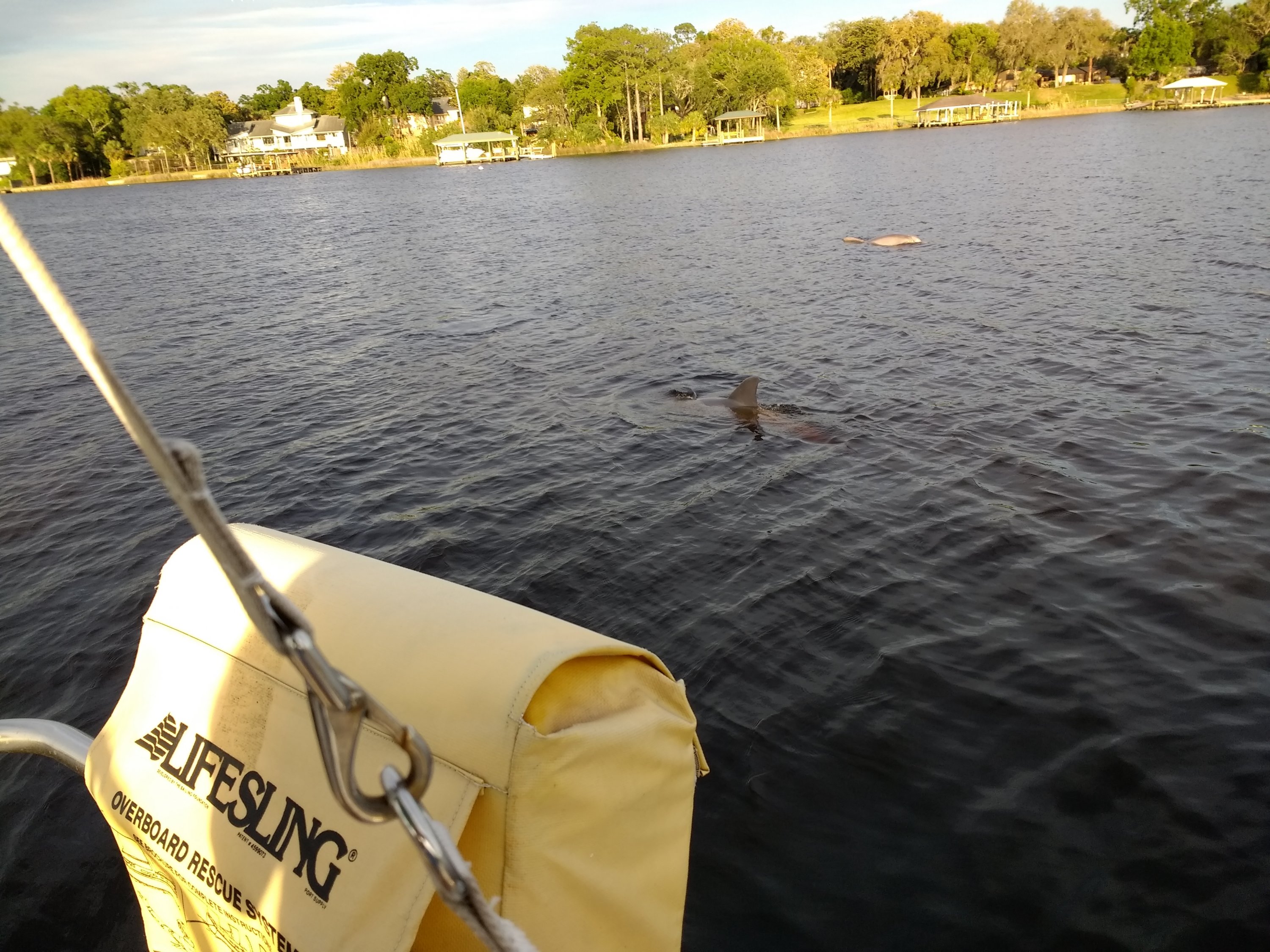 IMG_20180427_191002231_BURST001.jpg