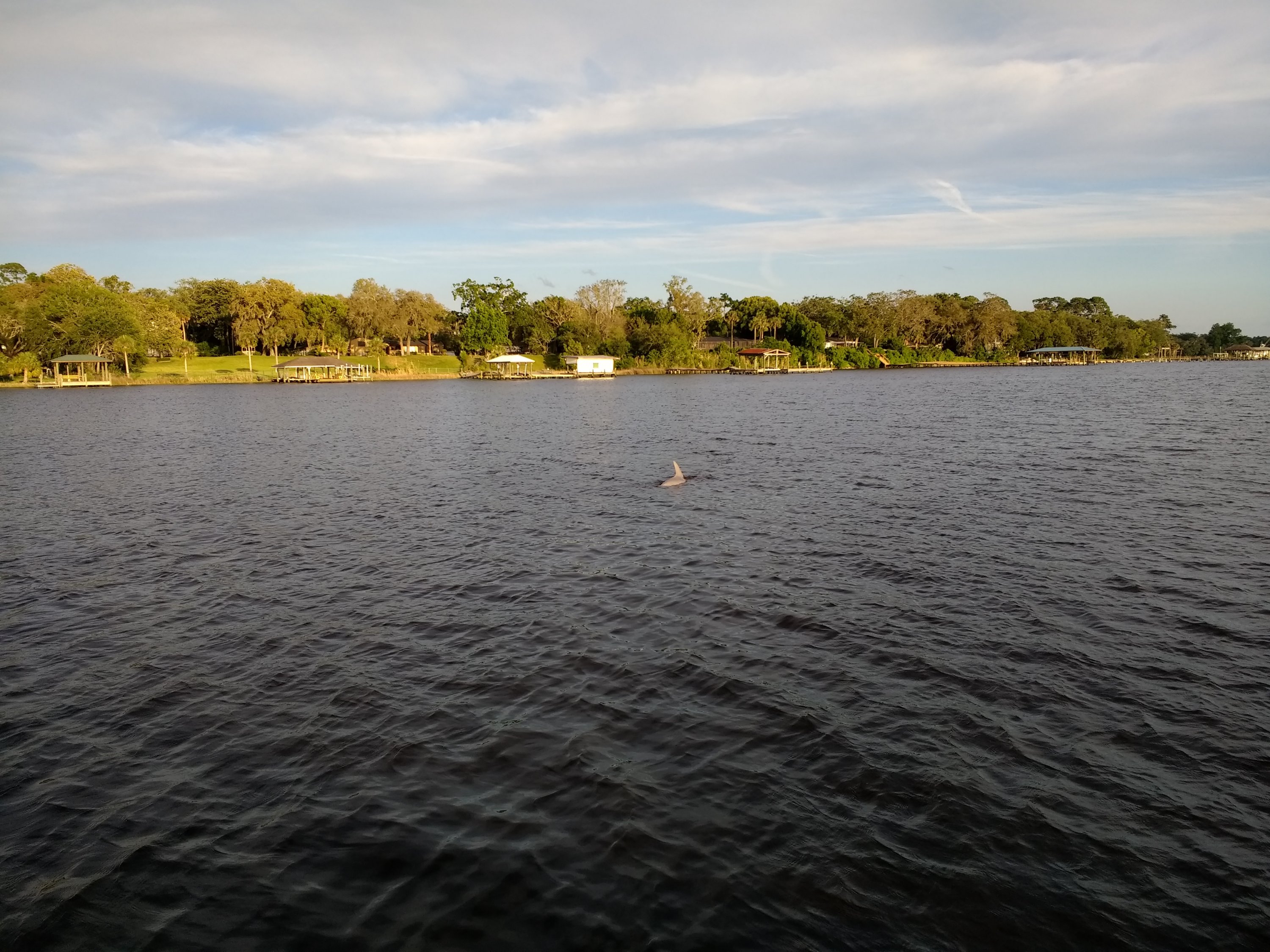 IMG_20180427_191018381.jpg