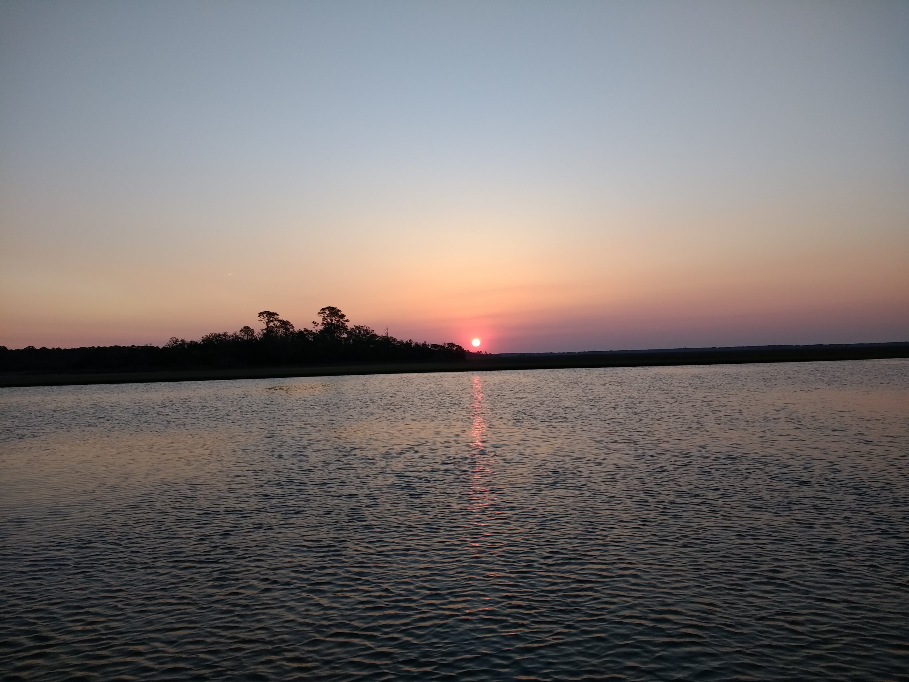 IMG_20180511_063640678[1].jpg