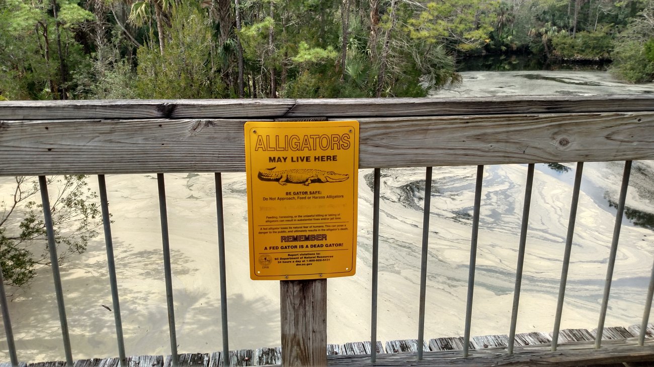 IMG_20190302_120317182_HDR.jpg
