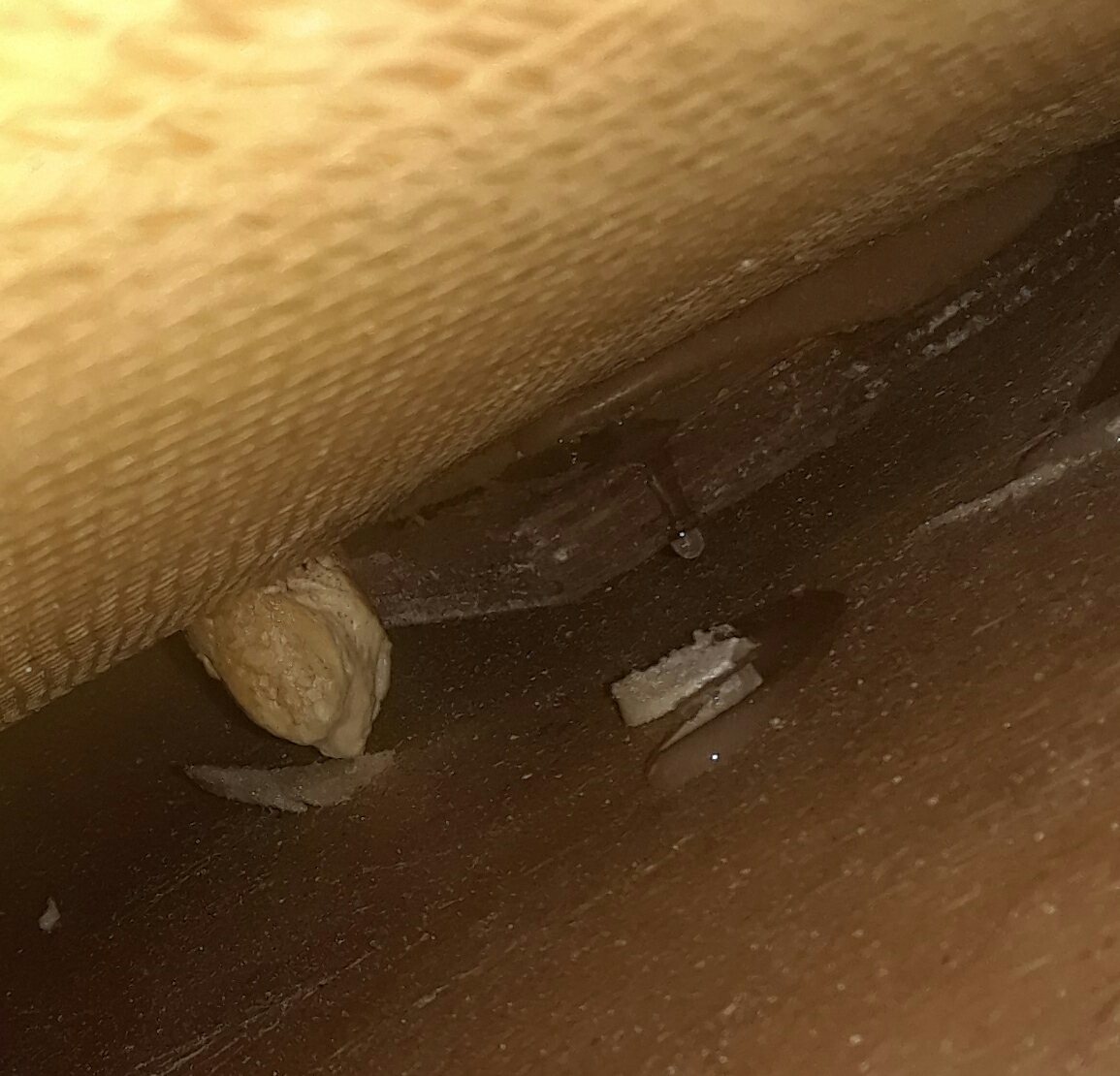 IMG_20190609_191108.jpg