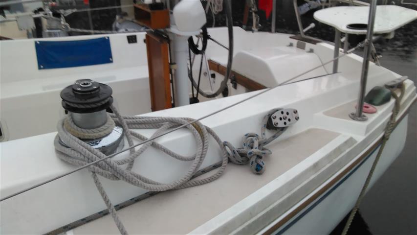 IMG_20200807_200616 (Small).jpg