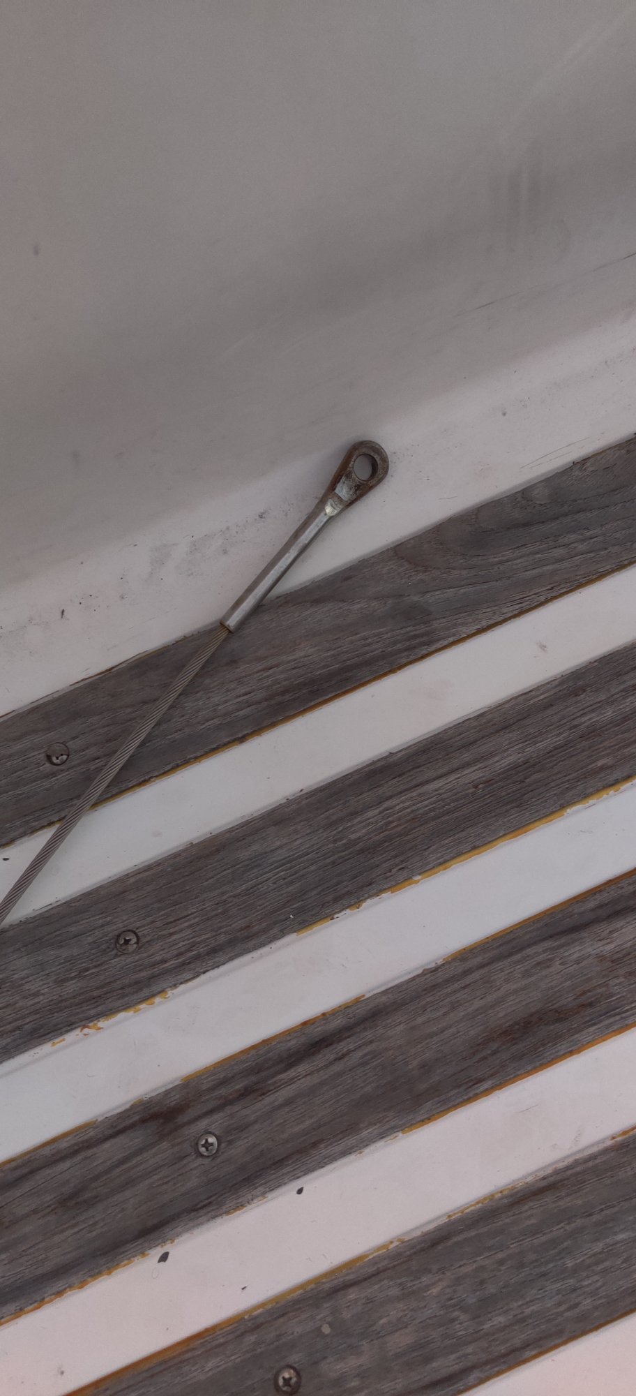 IMG_20200812_200127.jpg