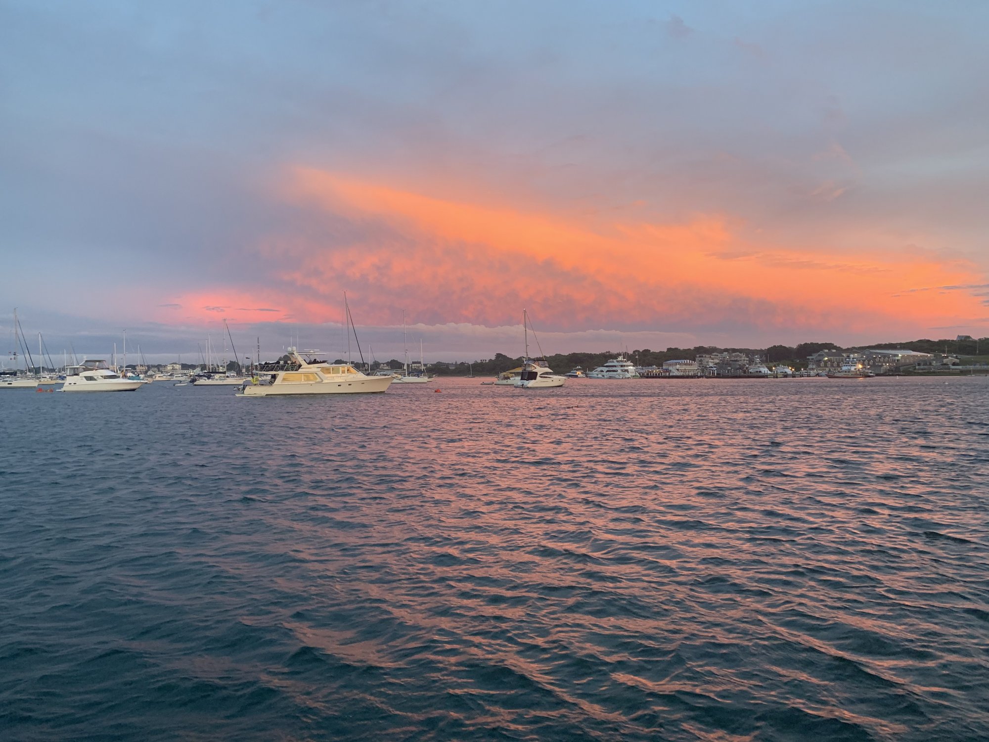 IMG_2162.jpg