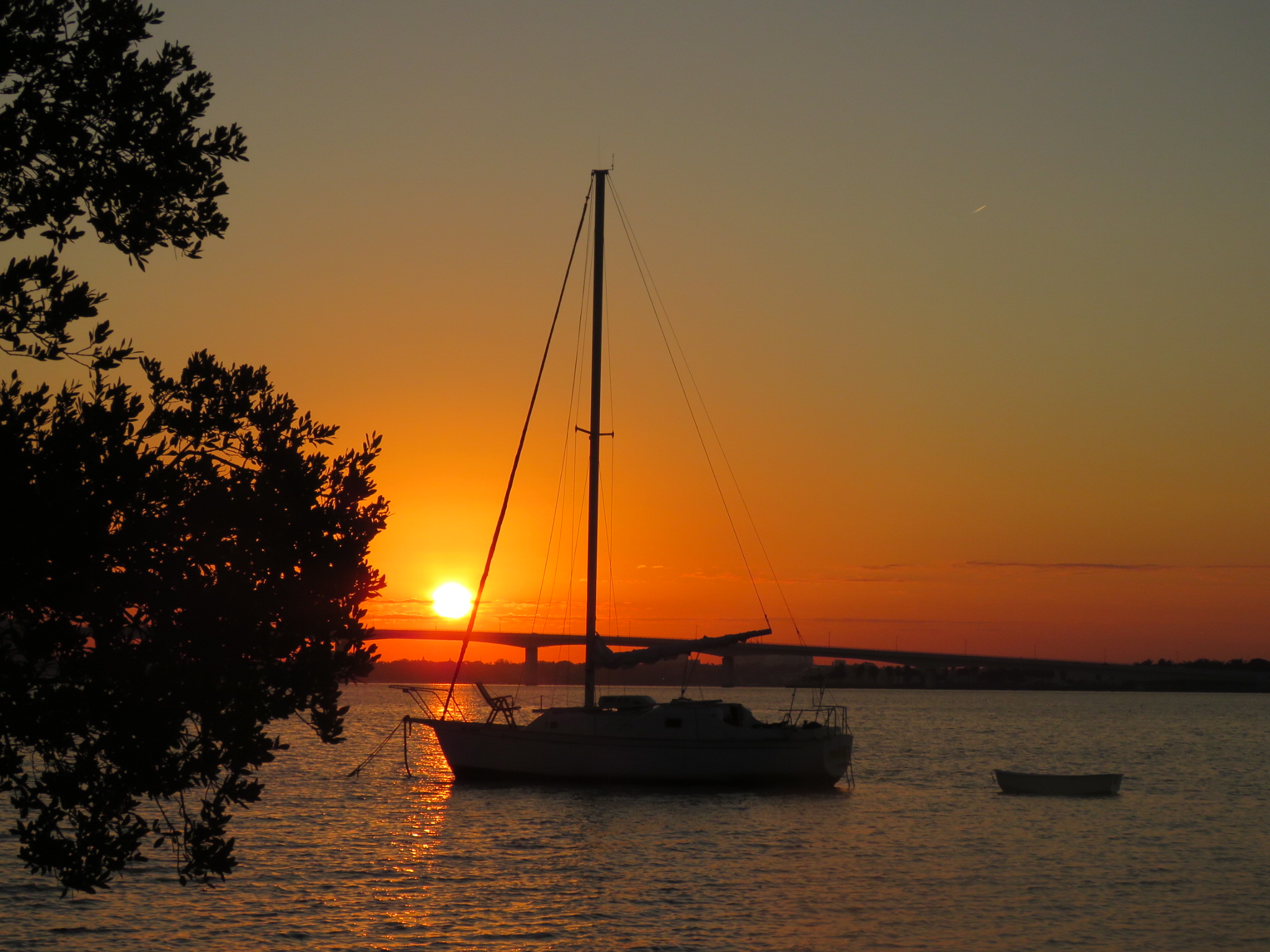 IMG_2433.JPG
