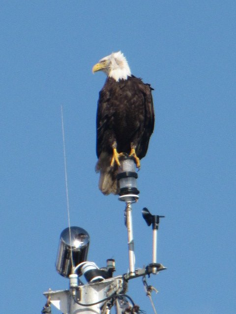 IMG_2636.JPG
