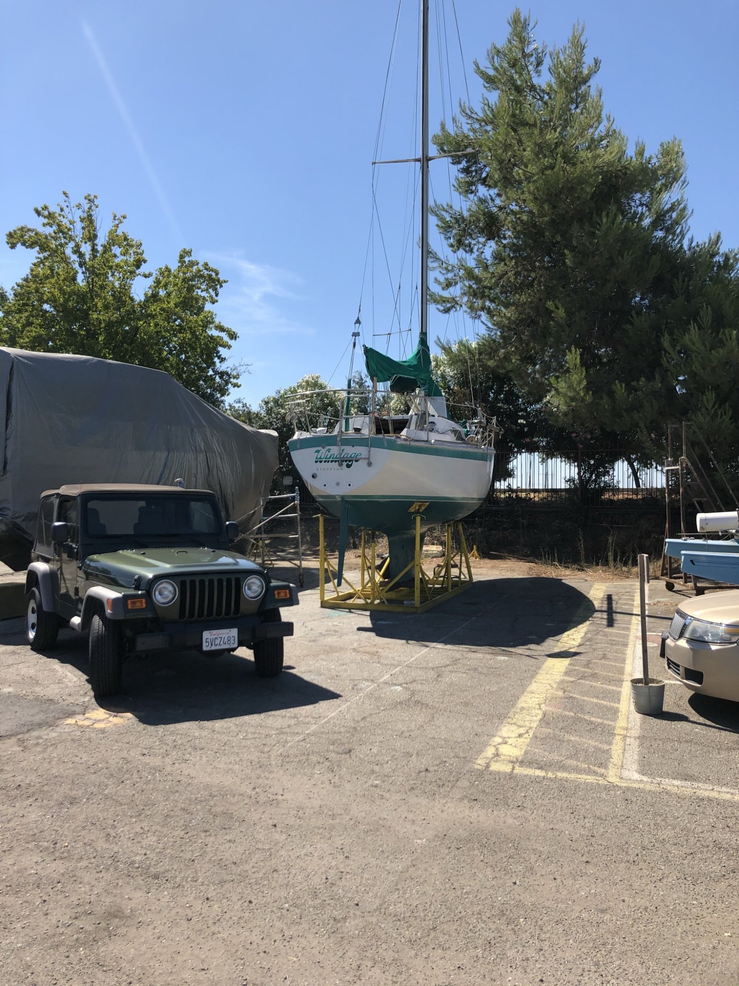IMG_2901.JPEG