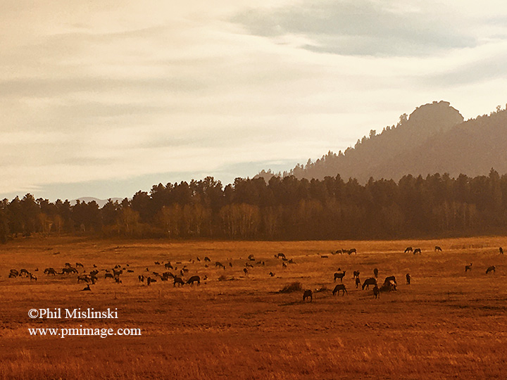 IMG_3033_lr.jpg