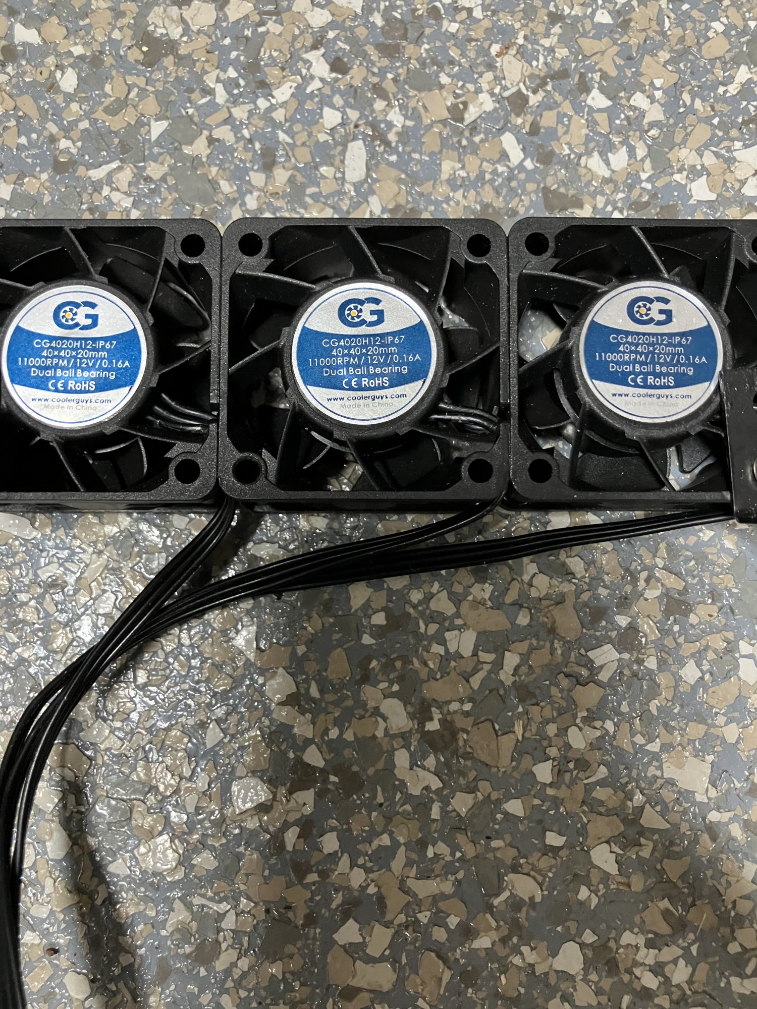 IMG_3666.jpeg