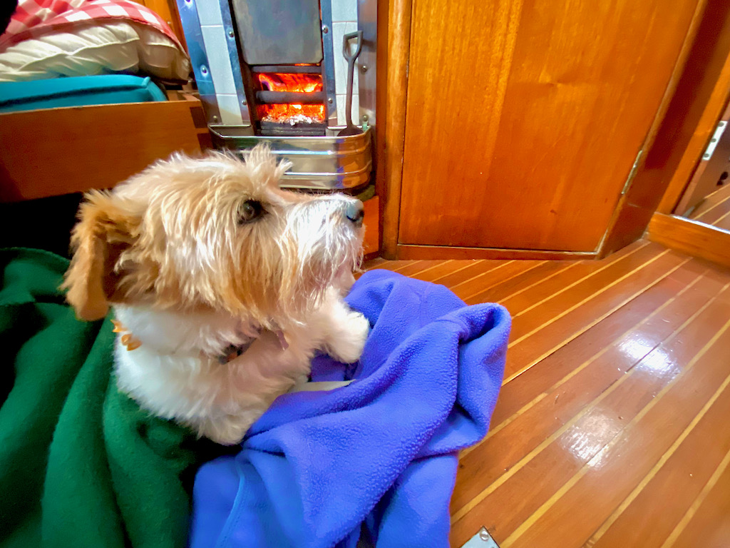 IMG_4915.jpeg