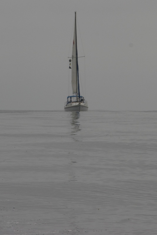 IMG_5011b.jpg