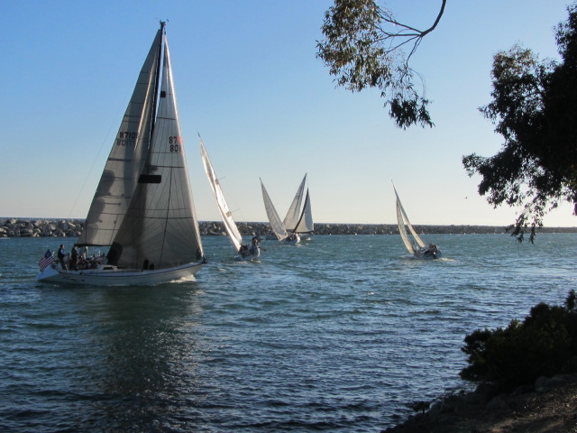 IMG_7523.JPG