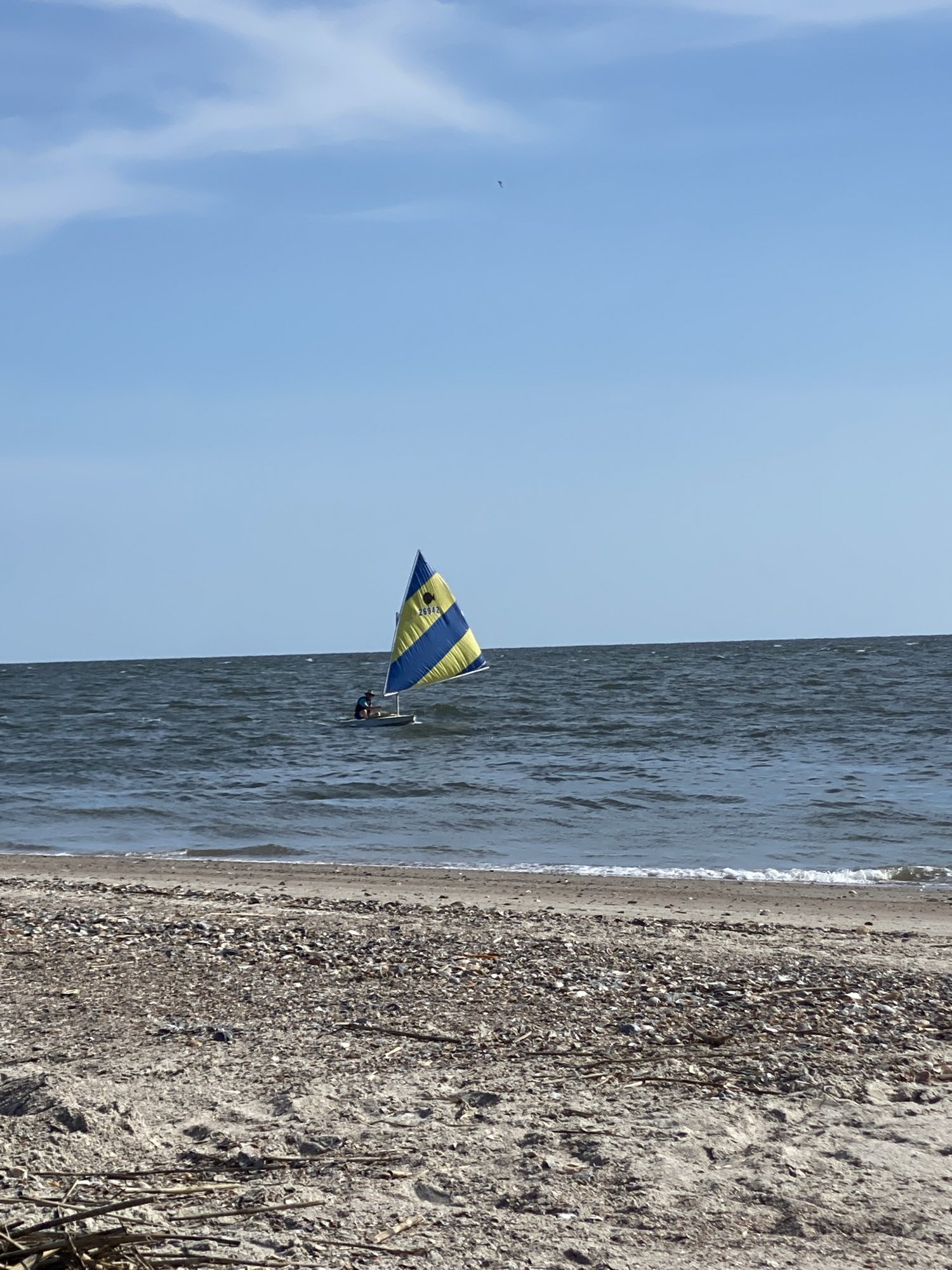 IMG_7840.jpeg